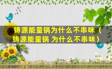 铸源能量锅为什么不串味（铸源能量锅 为什么不串味）